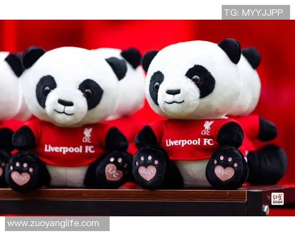 足球赛球星免费赠送活动重磅来袭，球迷福利不容错过快来参与！