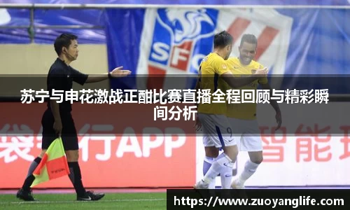 苏宁与申花激战正酣比赛直播全程回顾与精彩瞬间分析