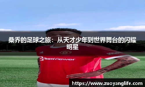 WM完美真人