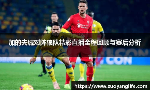 加的夫城对阵狼队精彩直播全程回顾与赛后分析