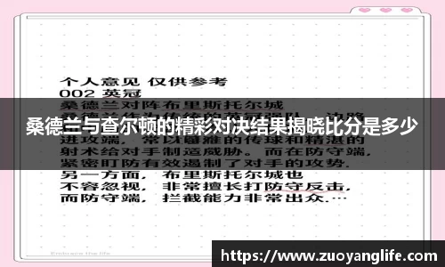 桑德兰与查尔顿的精彩对决结果揭晓比分是多少