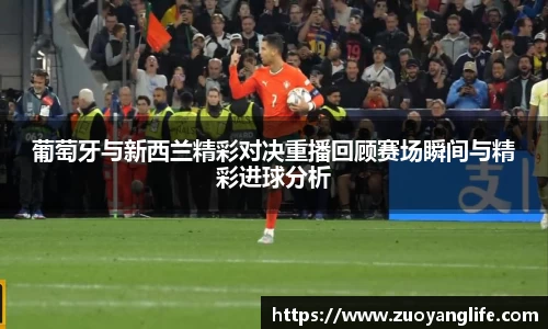 WM真人